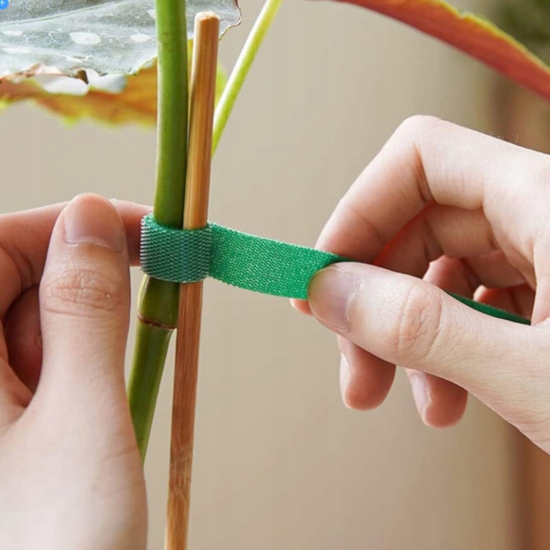 10x VELCRO TAPE FOR TOMATO FLOWERS BINDING PLANT BUSHES TREES CABLES Manufacturer code RZEP1-6