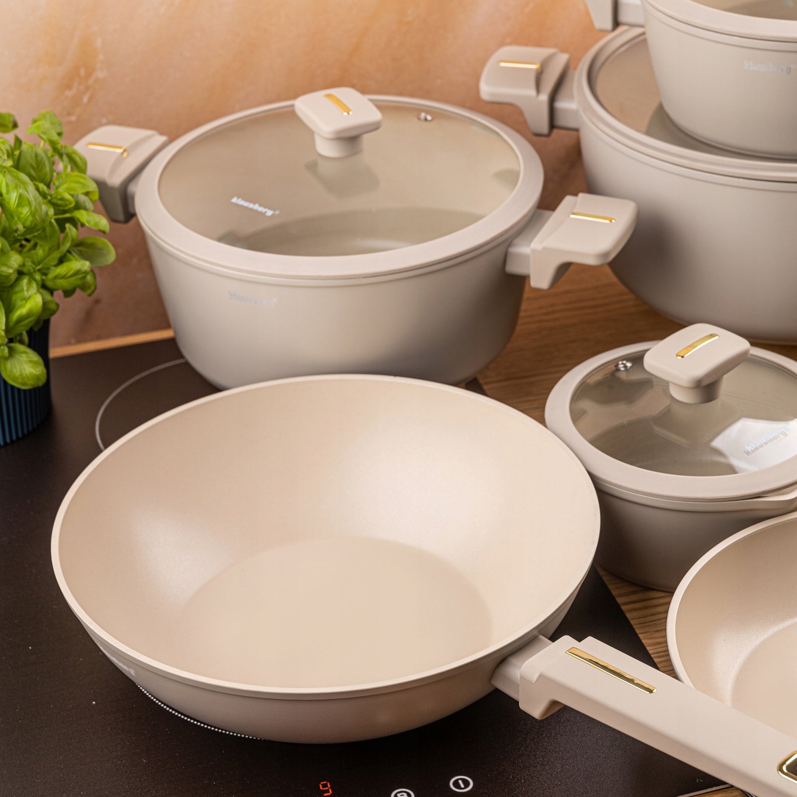 12-ele pot set with wok pan non-stick coating beige Additional information suitable for ceramic cooker suitable for electric cooker suitable for gas cooker suitable for induction cooker heat-resistant handles cover included