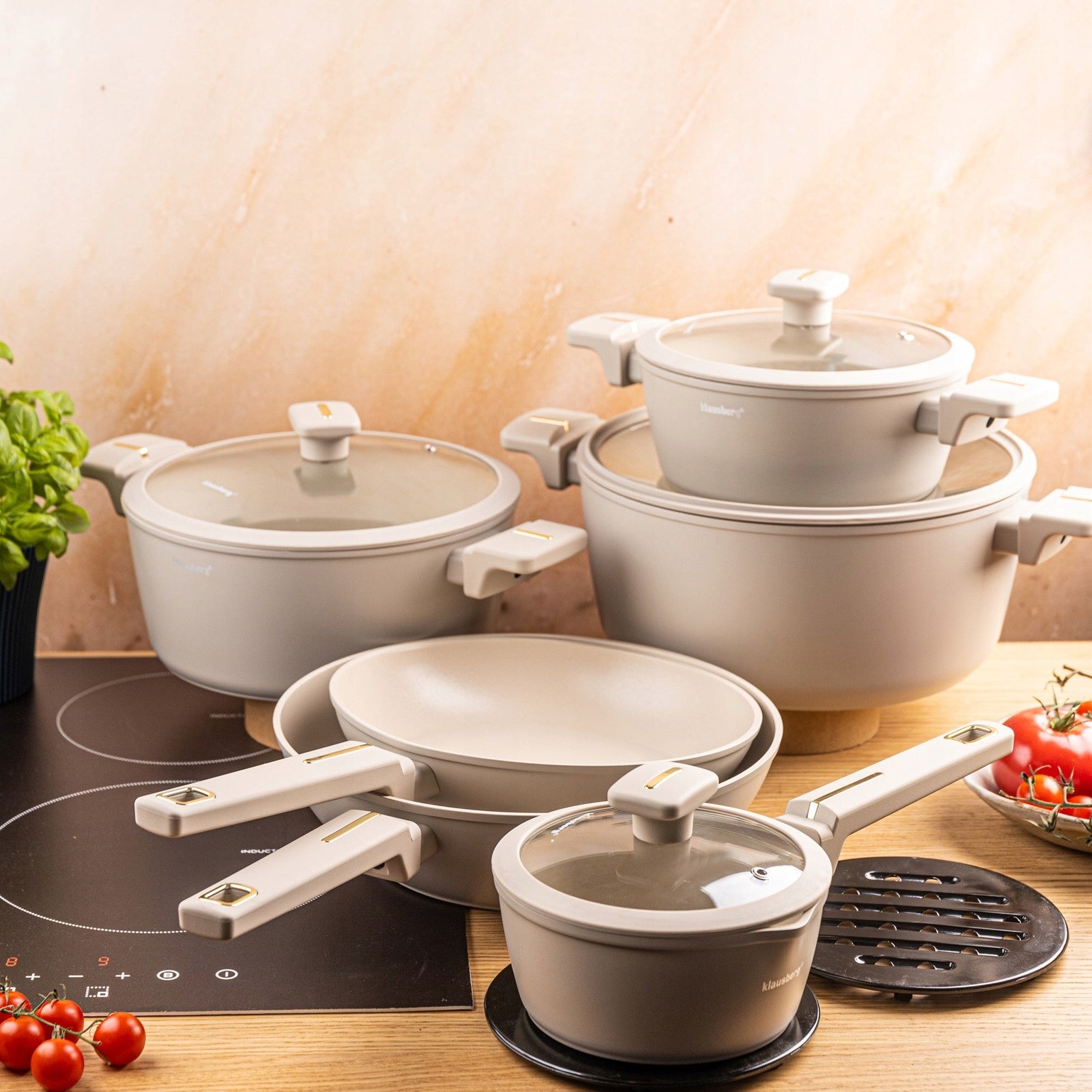 12-ele pot set with wok pan non-stick coating beige Color beige
