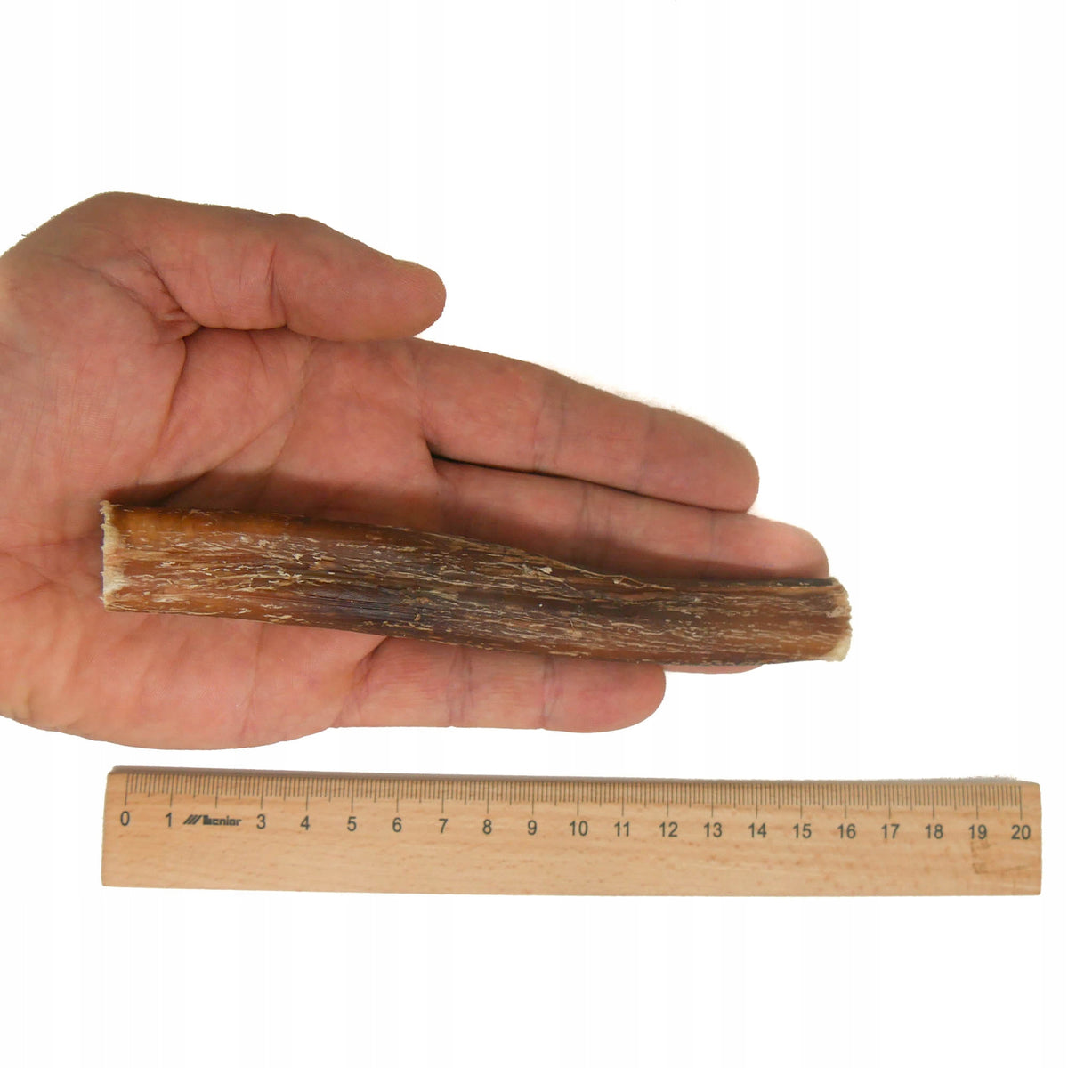 15 cm / 3pcs Dried Natural Beef Penis for Dog Teether Teethers Treat Brand RF-Deer