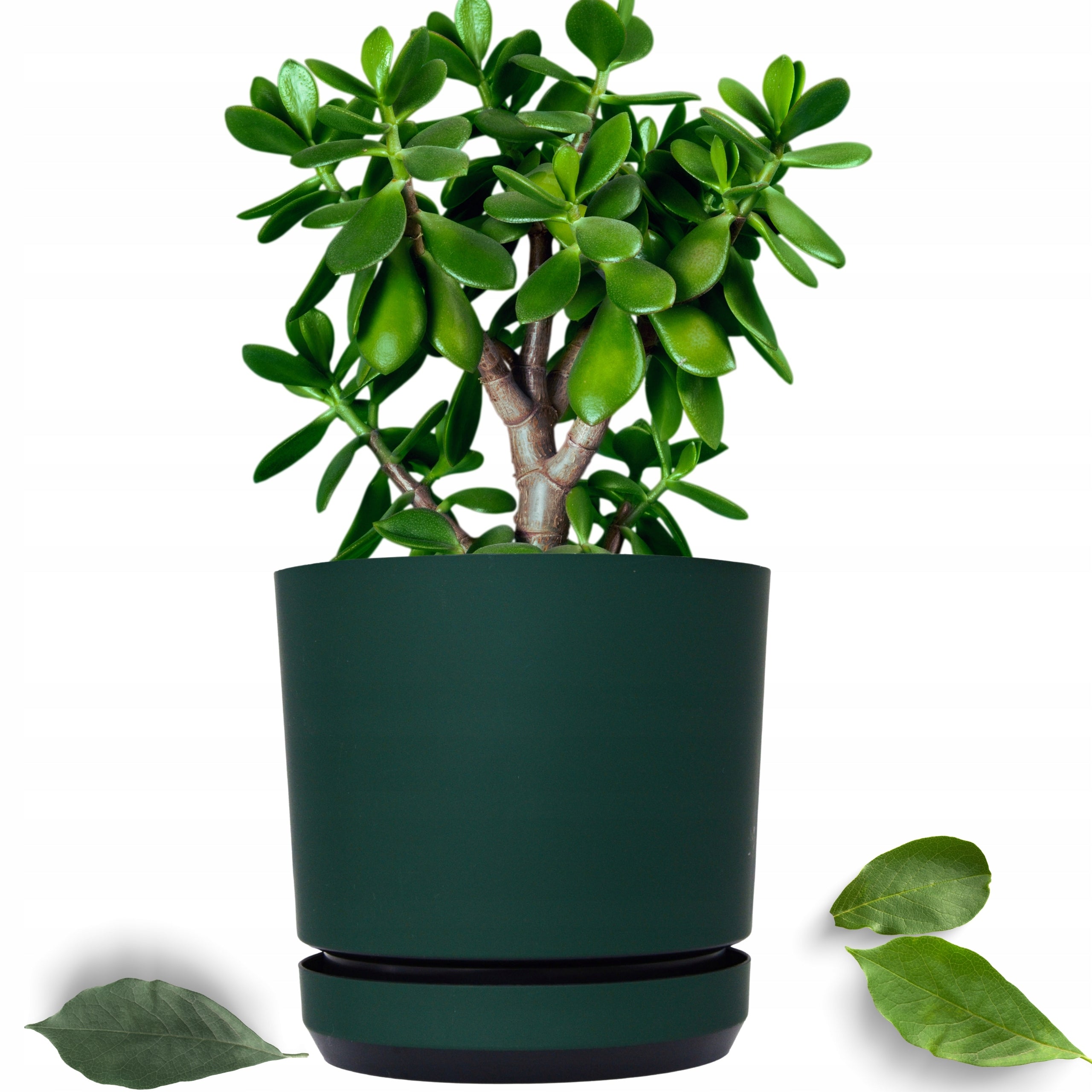 18 Flower pot with stand dark GREEN BOTTLE round matte satin