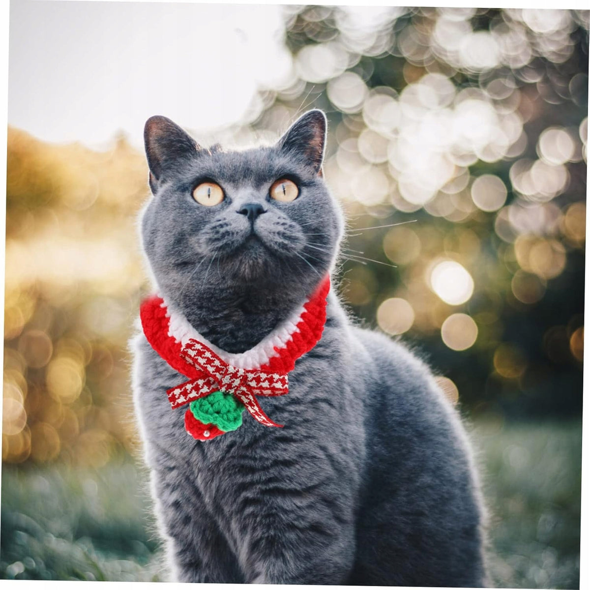 1Pc Knitted Cat Rotation Puppy Rotation Brand no brand