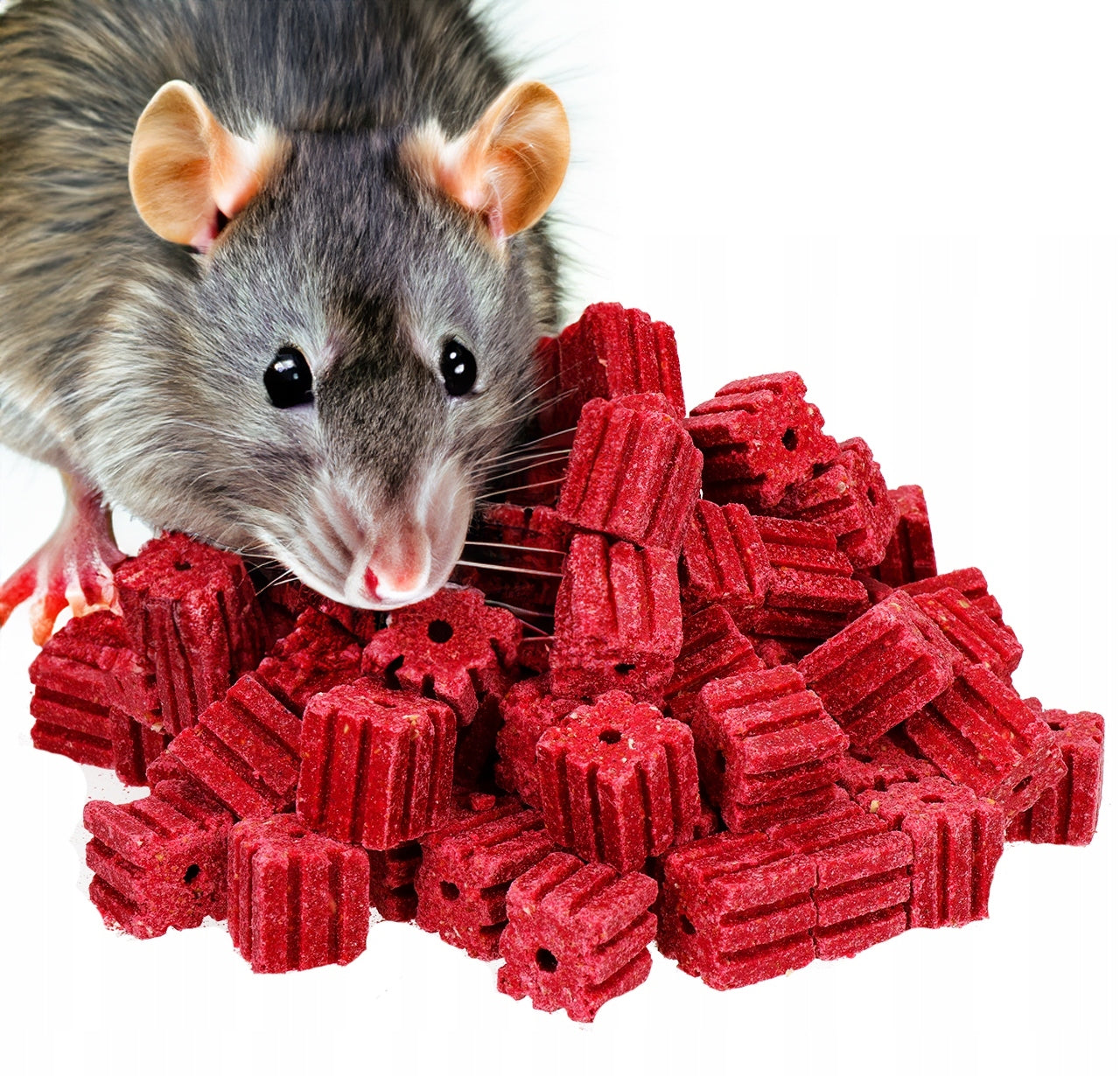 1kg + 50g CUBE POISON FOR VOLES RODENTS MICE RATS Packaging status original