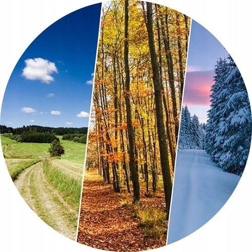 1x YEAR-ROUND TYRE Ceat 4SEASONDRIVE+ 175/65R15 88H XL 3PMSF M+S 2026 NEW Number of tires offered 1 pc.