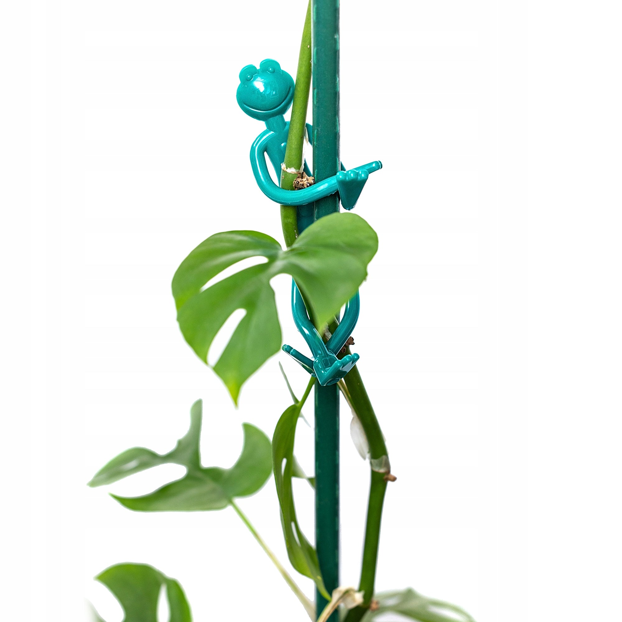 2 PCS CLIPS FROGS FOR PLANT VEGETABLE FLOWERS DECORATIVE Product height 14 cm