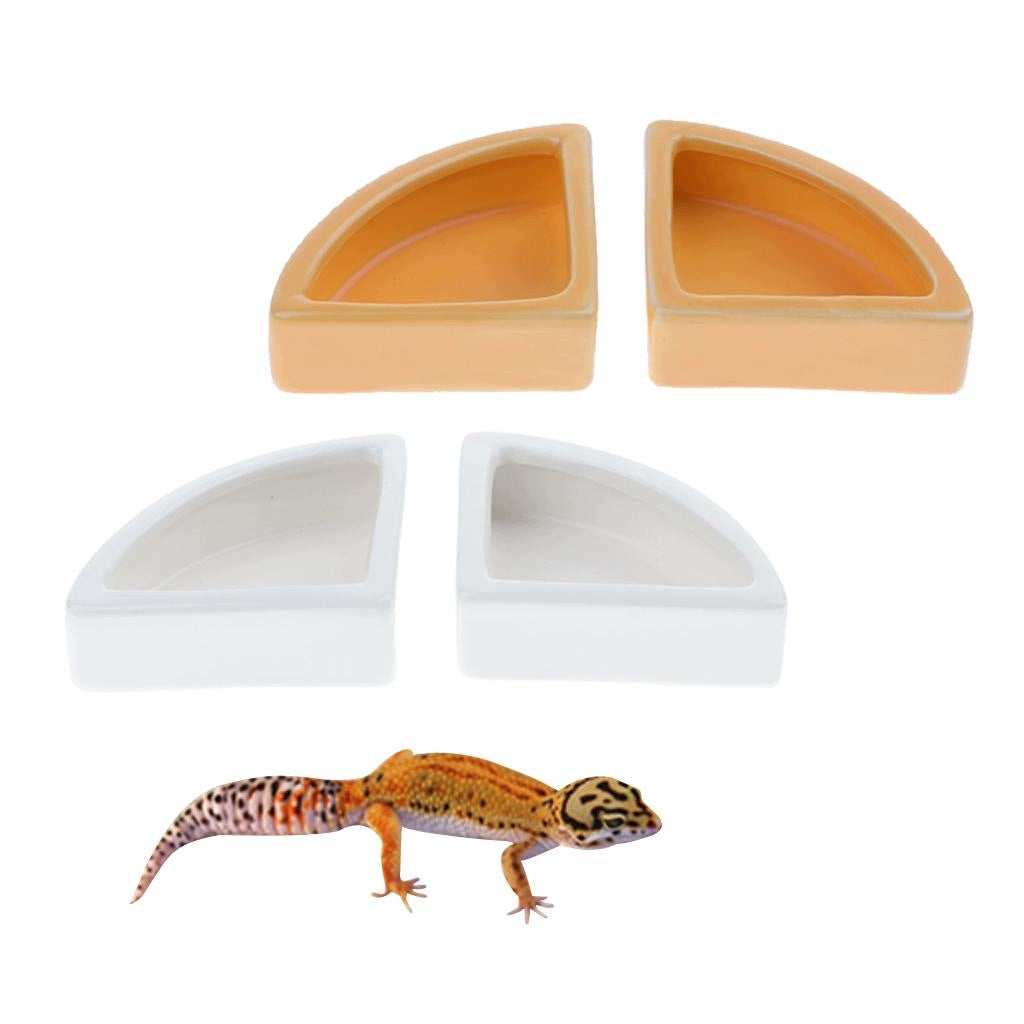 2 Pack Ceramics Bowls/dish Gecko,s, White Angle M Packaging status original