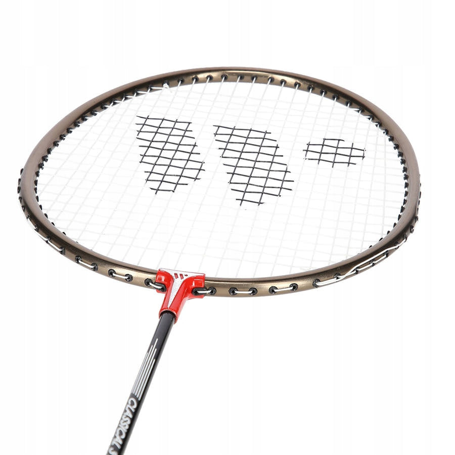 2 Rockets + 3 Nylon Darts Badminton Set In Cover WISH Model 316K i S-360