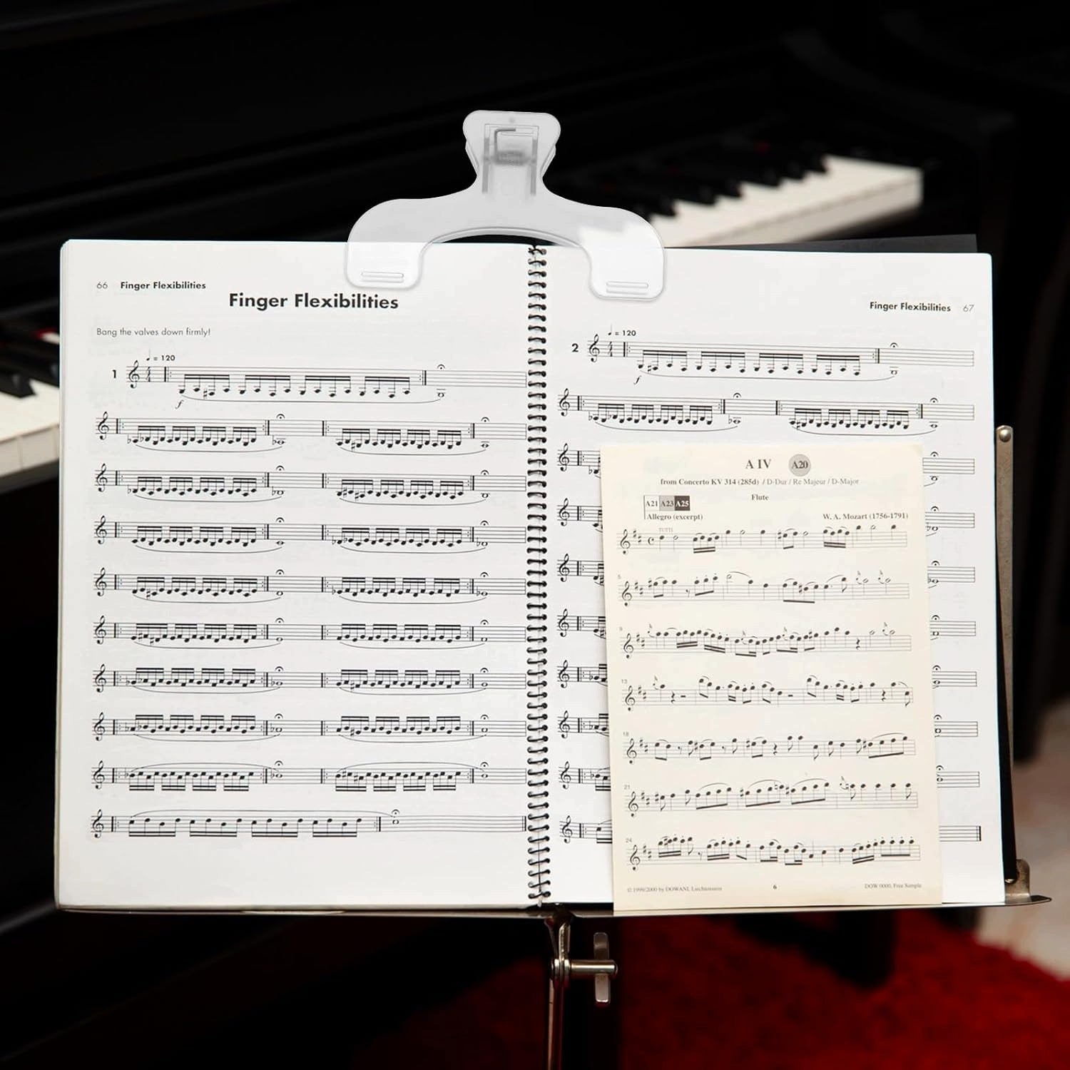 2 STRONG CLEAR BOOK BUCKLES READING PAGE HOLDERS Model Larrel 2 mocne klamry do książek
