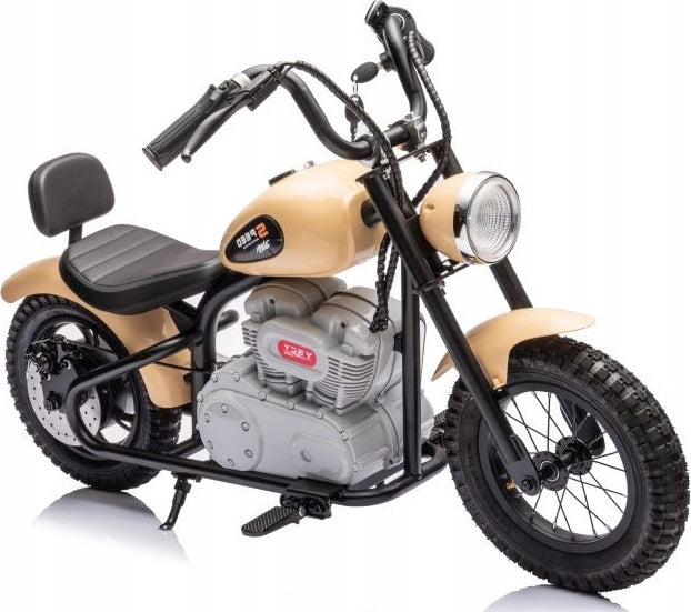 2 WHEEL MOTOR FOR CHILDREN BATTERY 36V MOTOR 350W PUMPED WHEELS