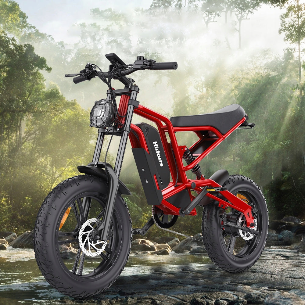 20" Off-Road Electric Vehicle Hidoes B6 50KM/H 1200W 48V Hydraulic CE Packaging status original