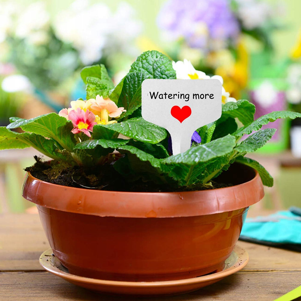 20 PCS WHITE PLANT ORCHARD SEEDLING LABELS Brand no brand