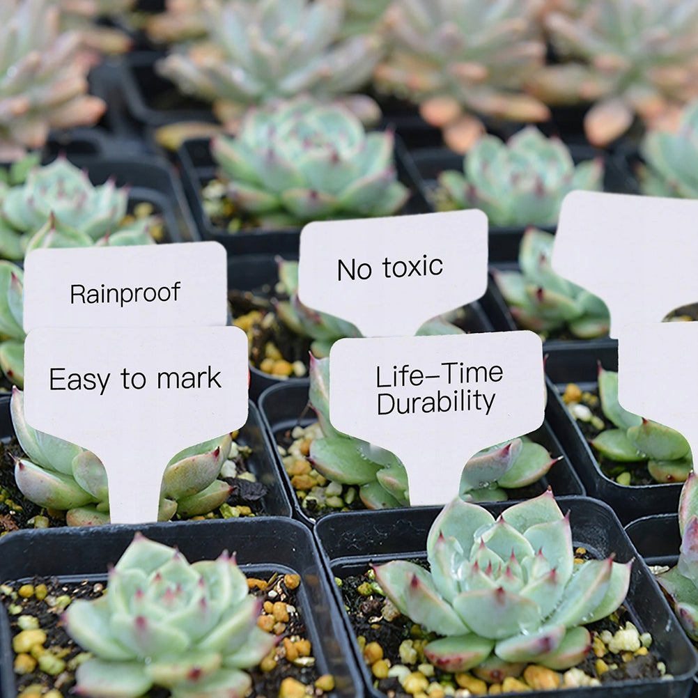 20 PCS WHITE PLANT ORCHARD SEEDLING LABELS Product height 10 cm