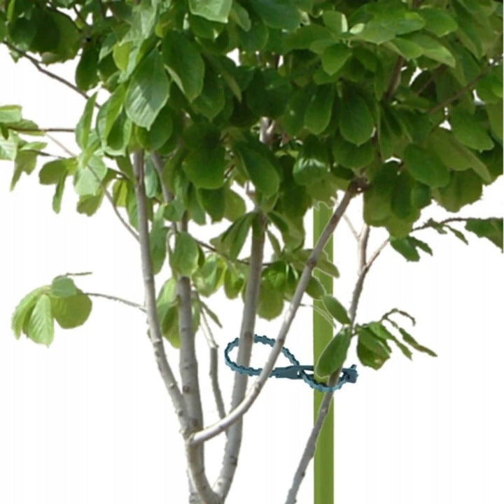 200x PLANT CLAMPS REUSABLE GARDEN TRITITES HOME CLIPS Number of pieces 100 pcs