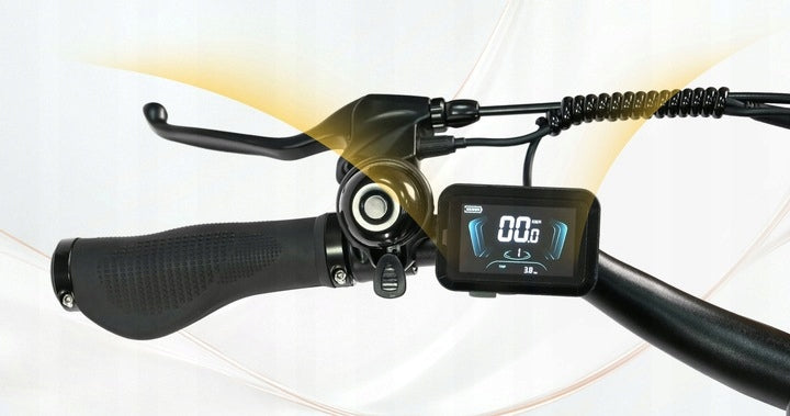 2026TTGO C3 SE Electric Bike 250W 36V 18AH 25KM/H 120KM 28''City PL- Black Frame size M