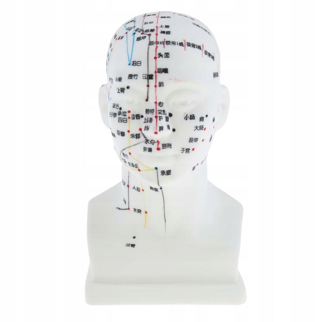 20CM Meridian Acupuncture Model Acupuncture Point Model 20cm/8 Brand no brand