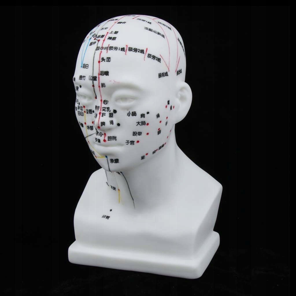20CM Meridian Acupuncture Model Acupuncture Point Model 20cm/8 Manufacturer code PETSOLA-79007874