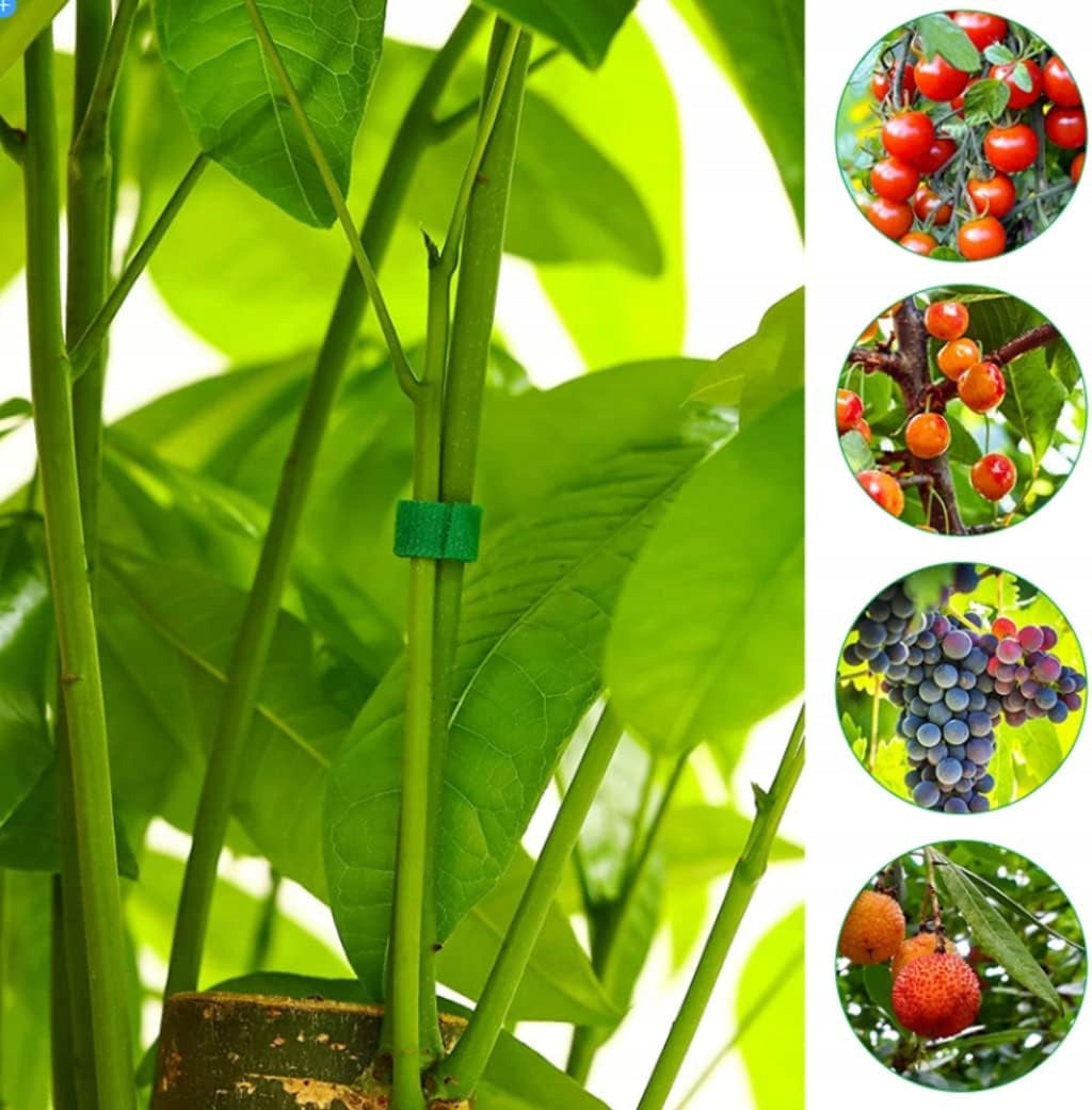 20x VELCRO TAPE FOR TOMATO FLOWERS BINDING PLANT BUSHES TREES CABLES Model white