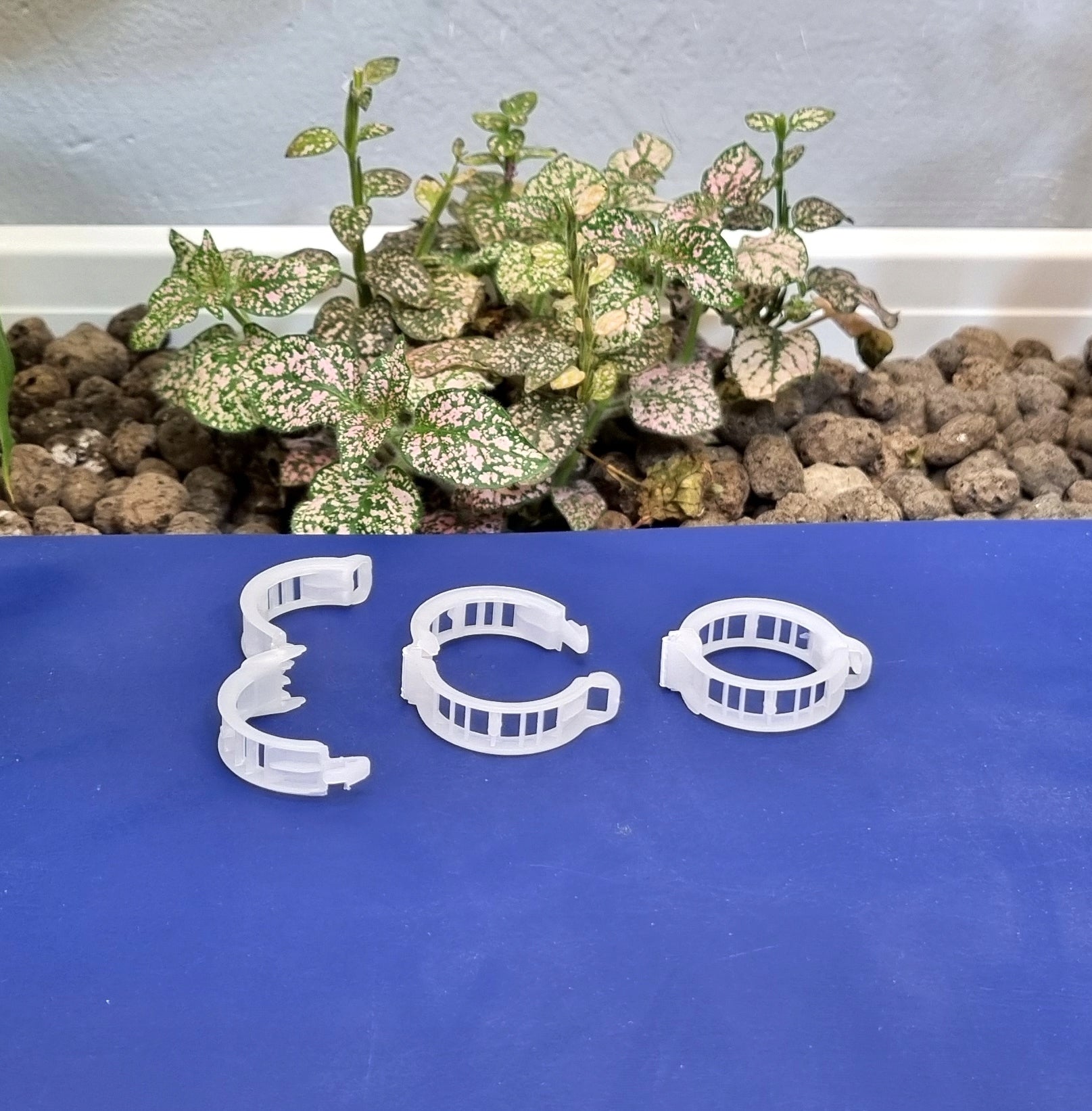 24mm clasps for tomatoes, peppers, beans x 100pcs - clips Manufacturer code Zapinka FI24 do podwiązywania pomidorów