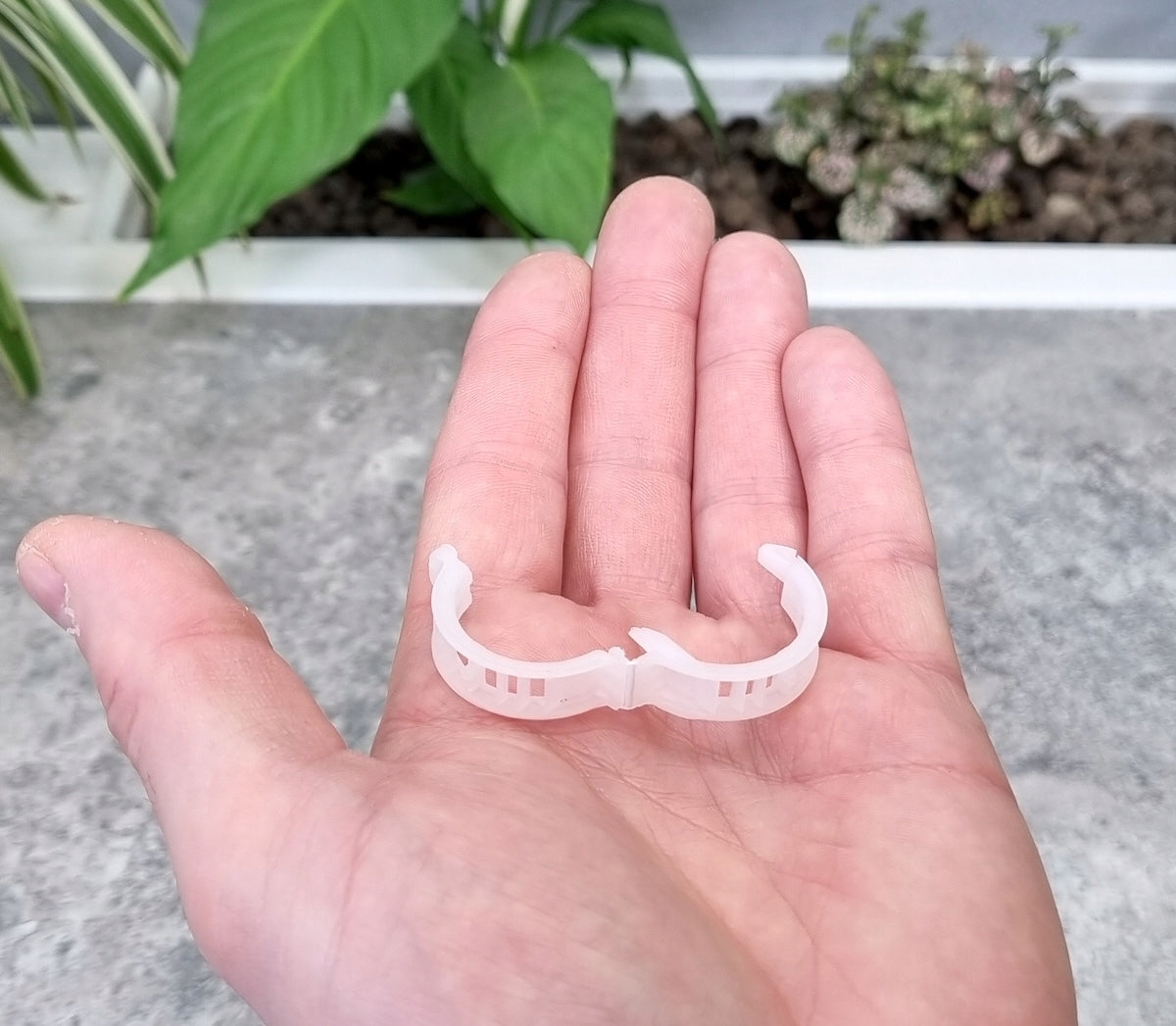 24mm clasps for tomatoes, peppers, beans x 100pcs - clips Product height 2.4 cm