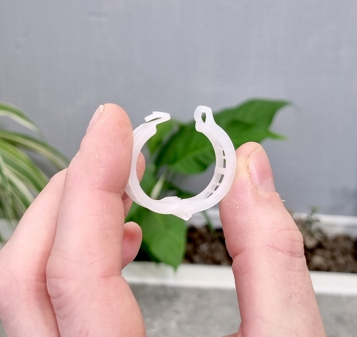24mm clasps for tomatoes, peppers, beans x 10pcs - clips cufflinks Manufacturer code Zapinka FI24 klamra mocująca do podpór
