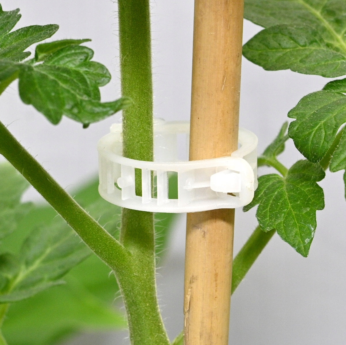 24mm clasps for tomatoes, peppers, beans x 10pcs - clips cufflinks Packaging status original