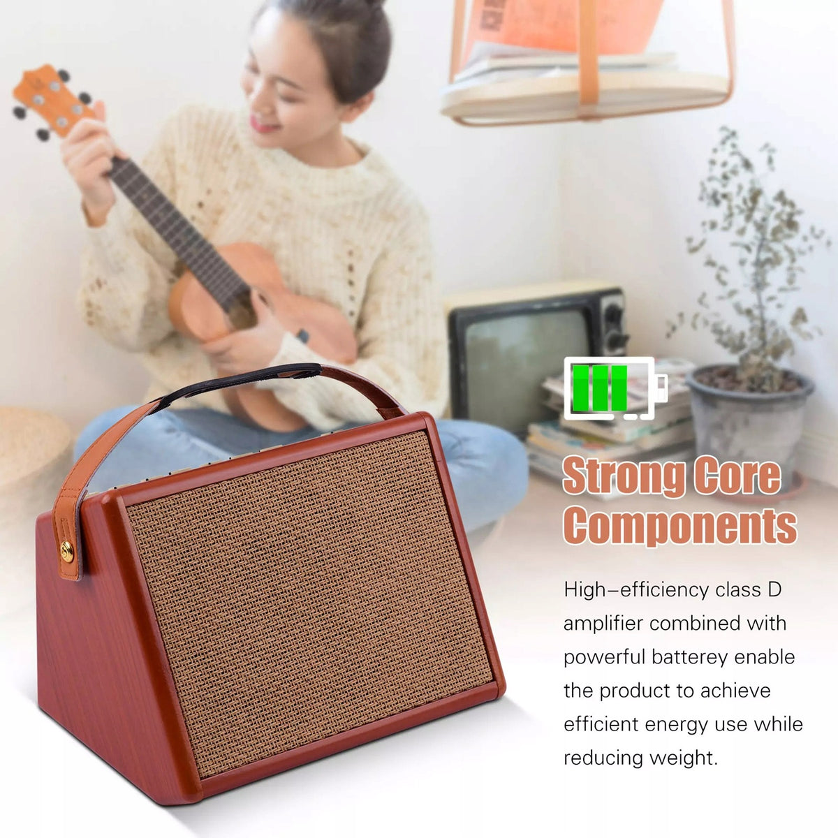 25W Portable Acoustic Guitar Amplifier with O9 Model other