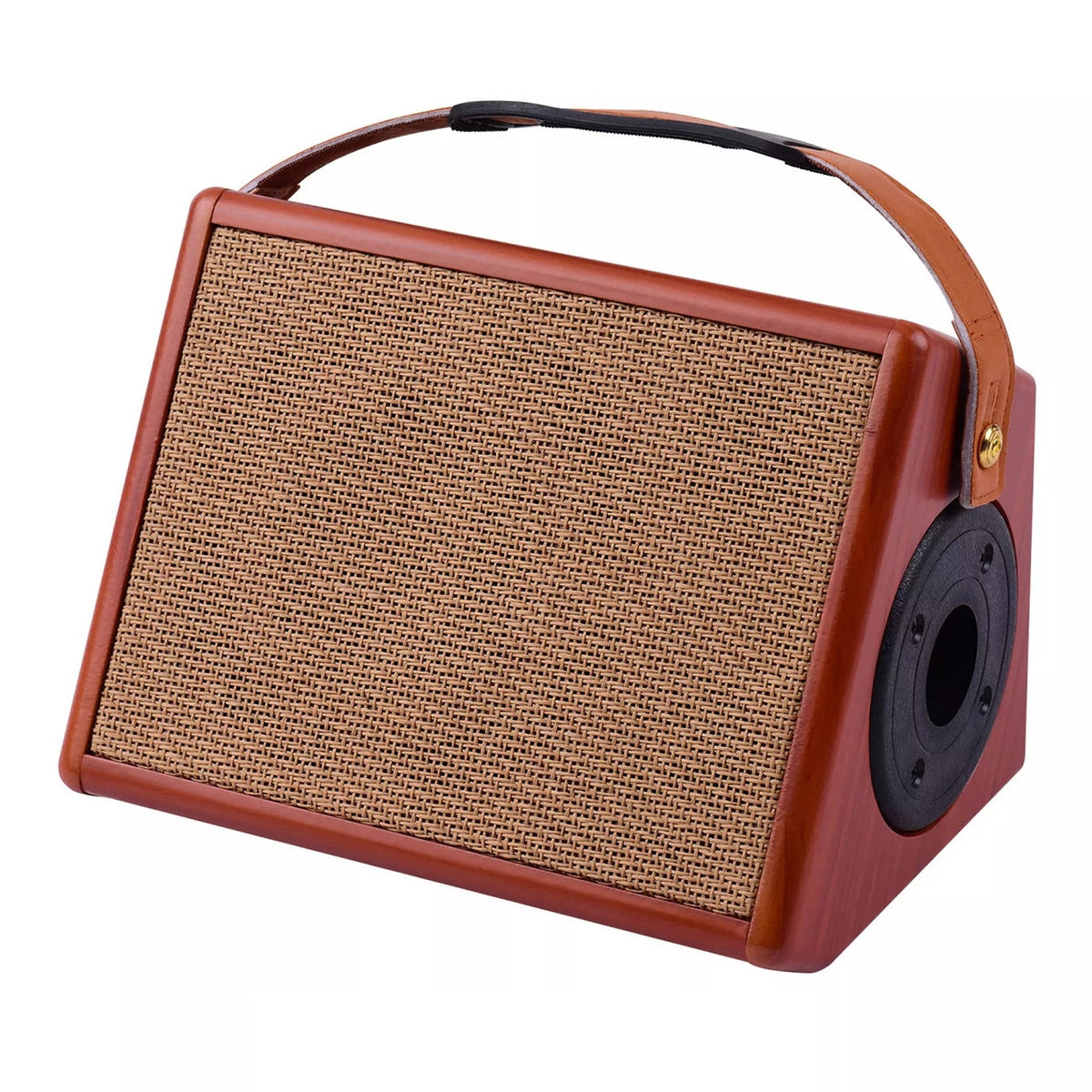 25W Portable Acoustic Guitar Amplifier with O9