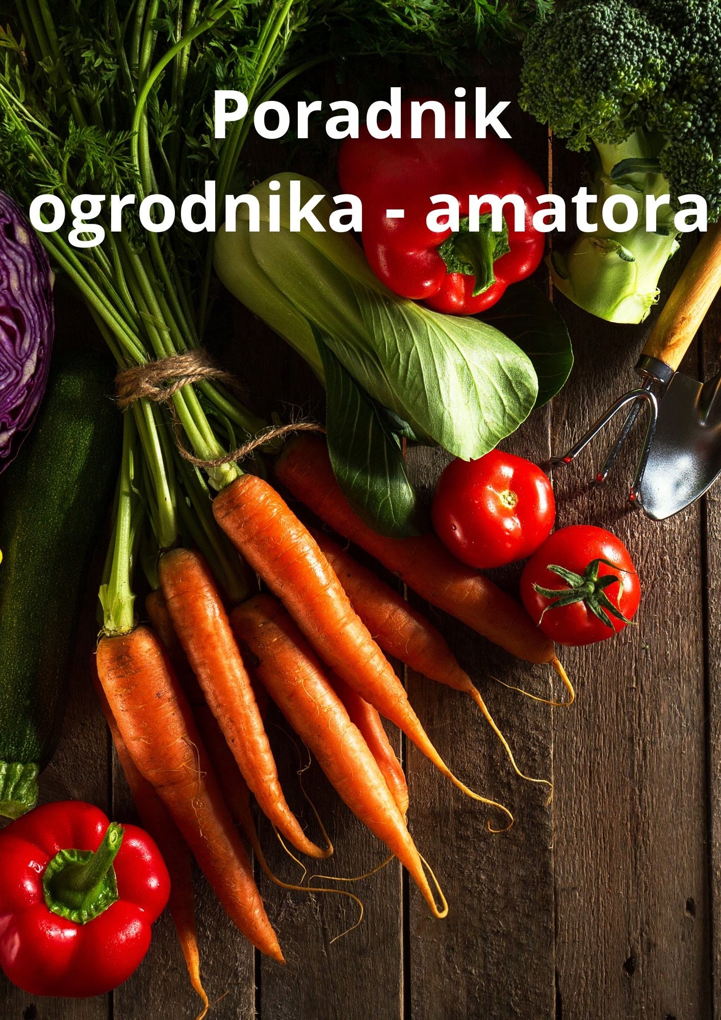Vežimėlio ratukas be kamerų, 3.00-4