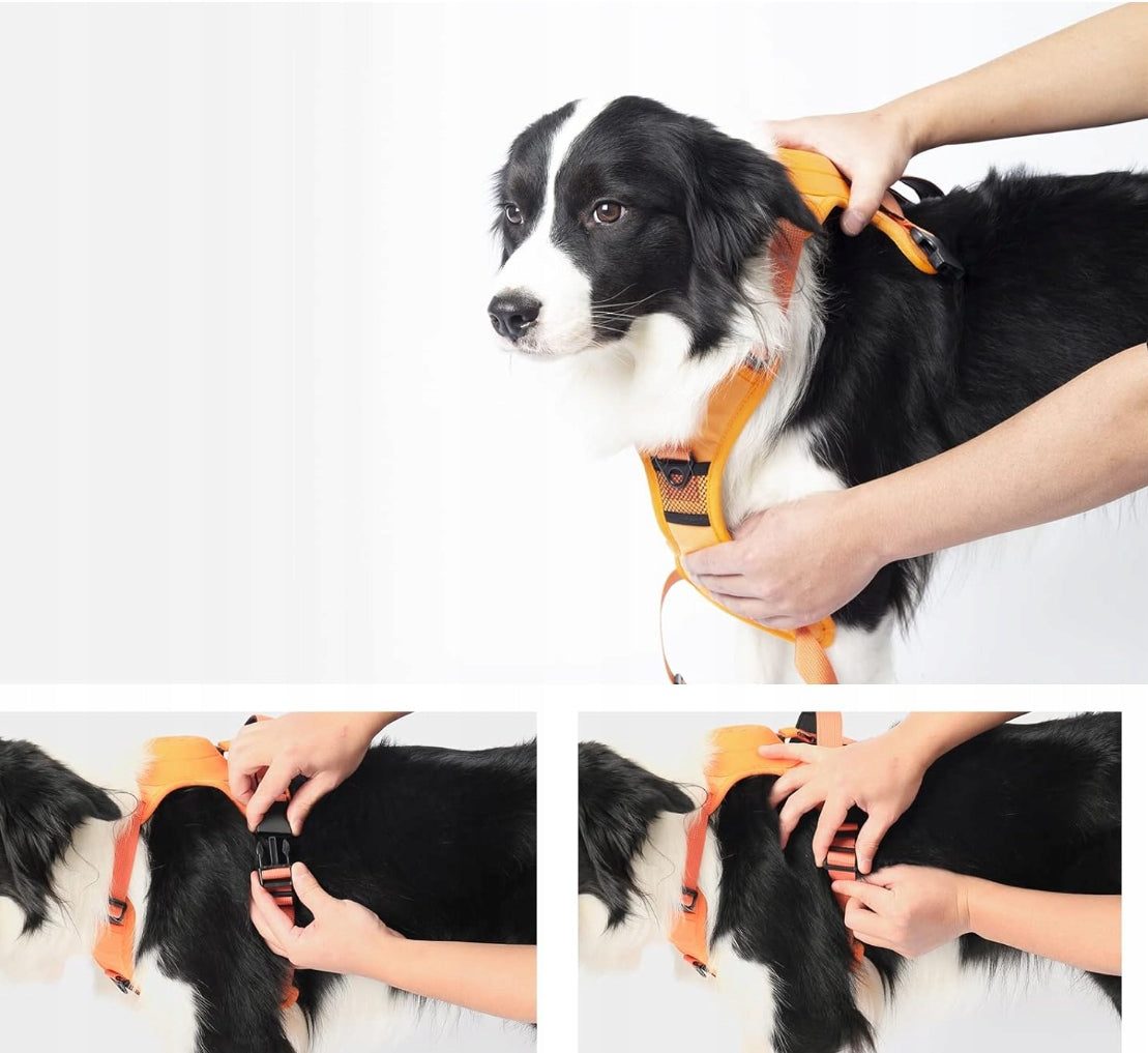 2IN1 DOG HARNESS WITH BUILT-IN AUTOMATIC LEASH L Manufacturer code L-O1