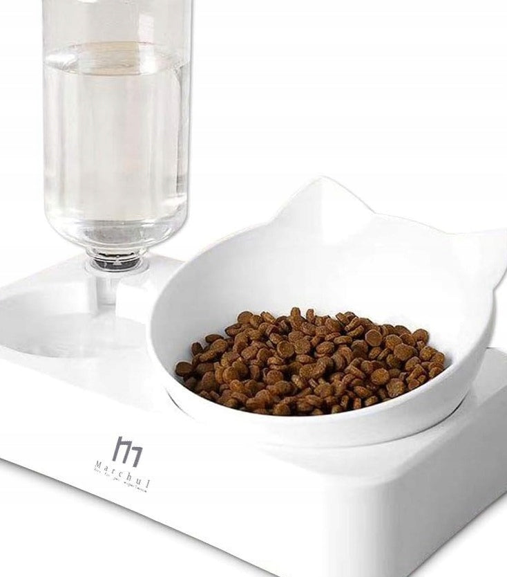 2IN1 NON-SLIP DOG CAT BOWL WITH 15° WATER DISPENSER