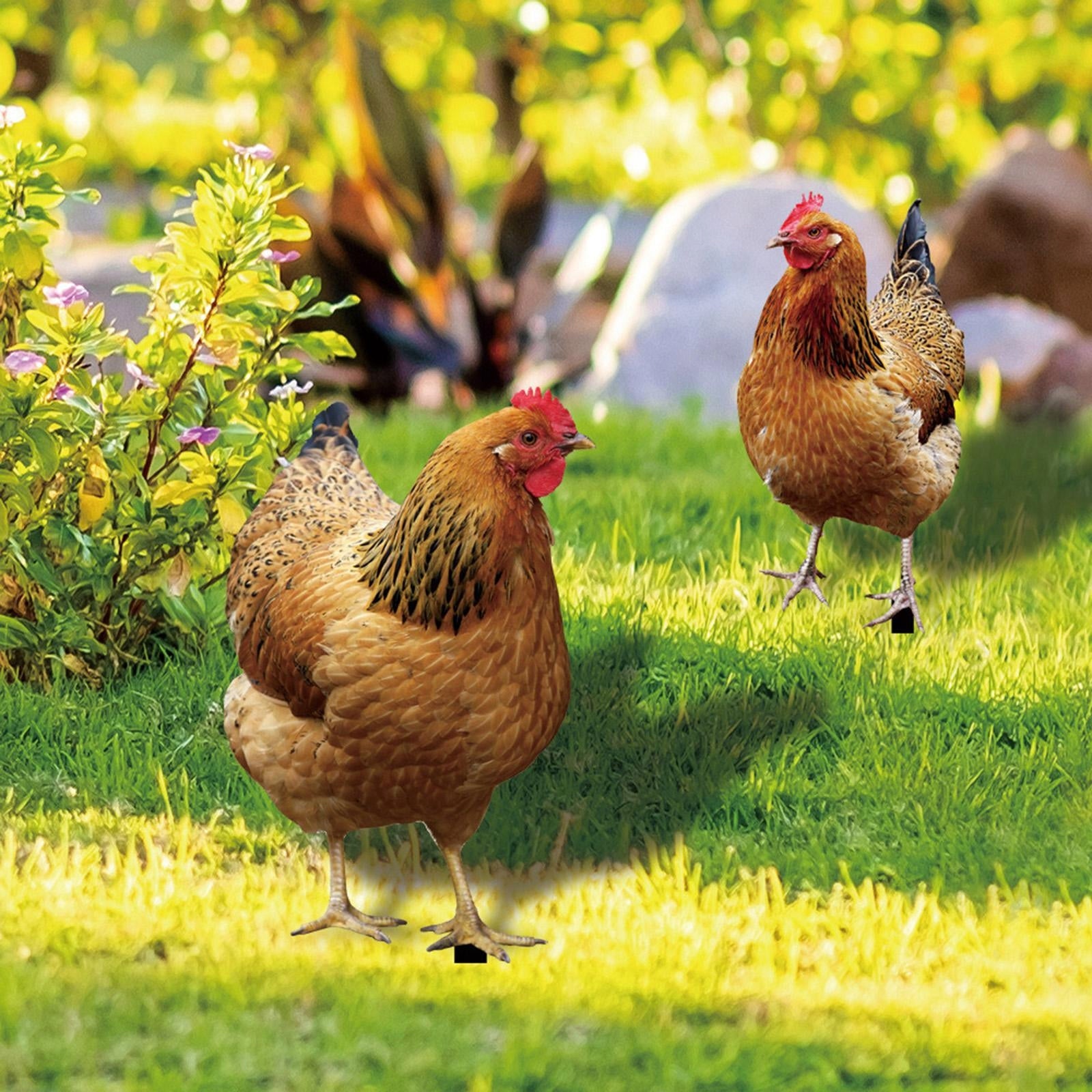 2Pcs Hen Statue Garden Stakes Chicken Figurines Ground Insert for Courtyard Main material metal