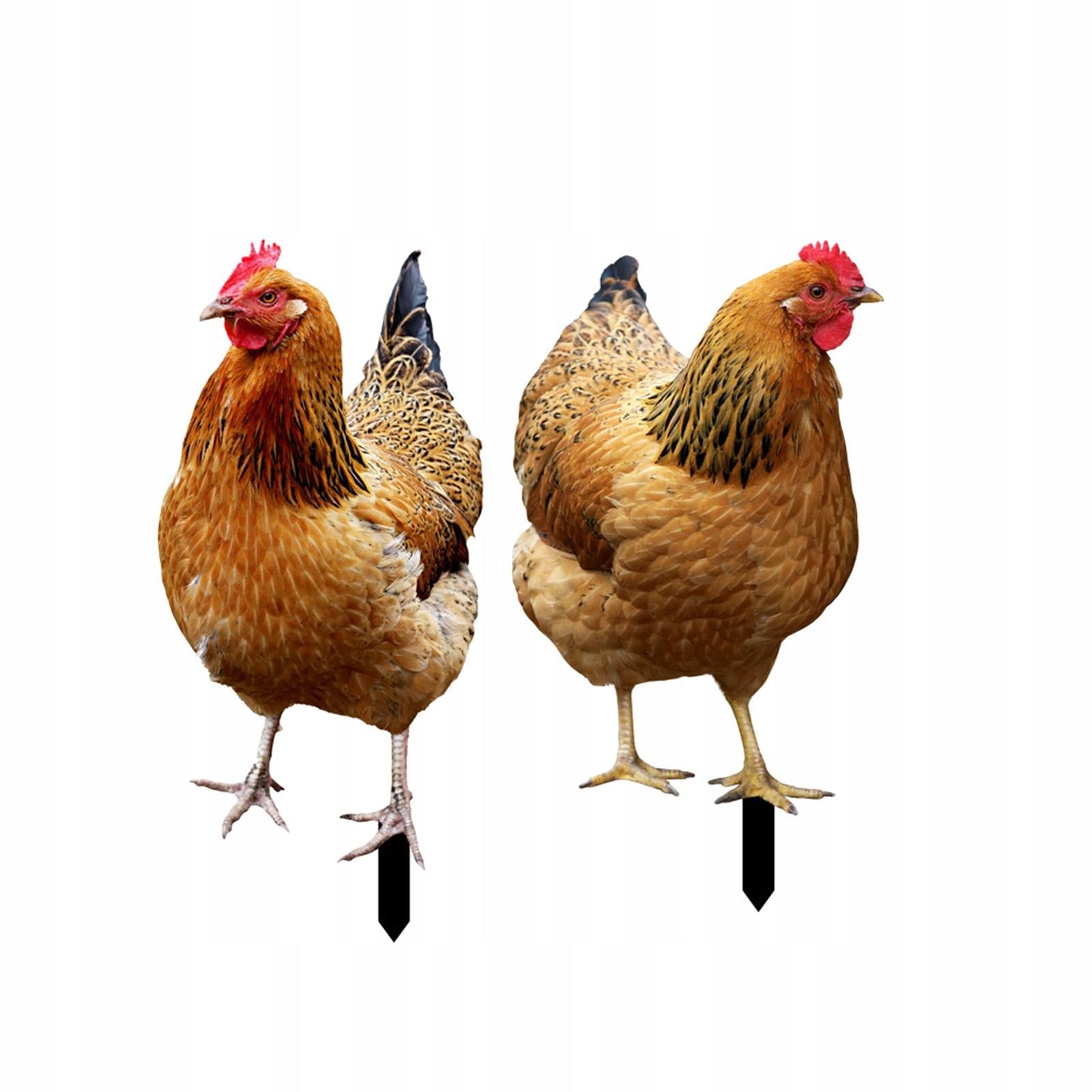 2Pcs Hen Statue Garden Stakes Chicken Figurines Ground Insert for Courtyard Manufacturer code 00553116806