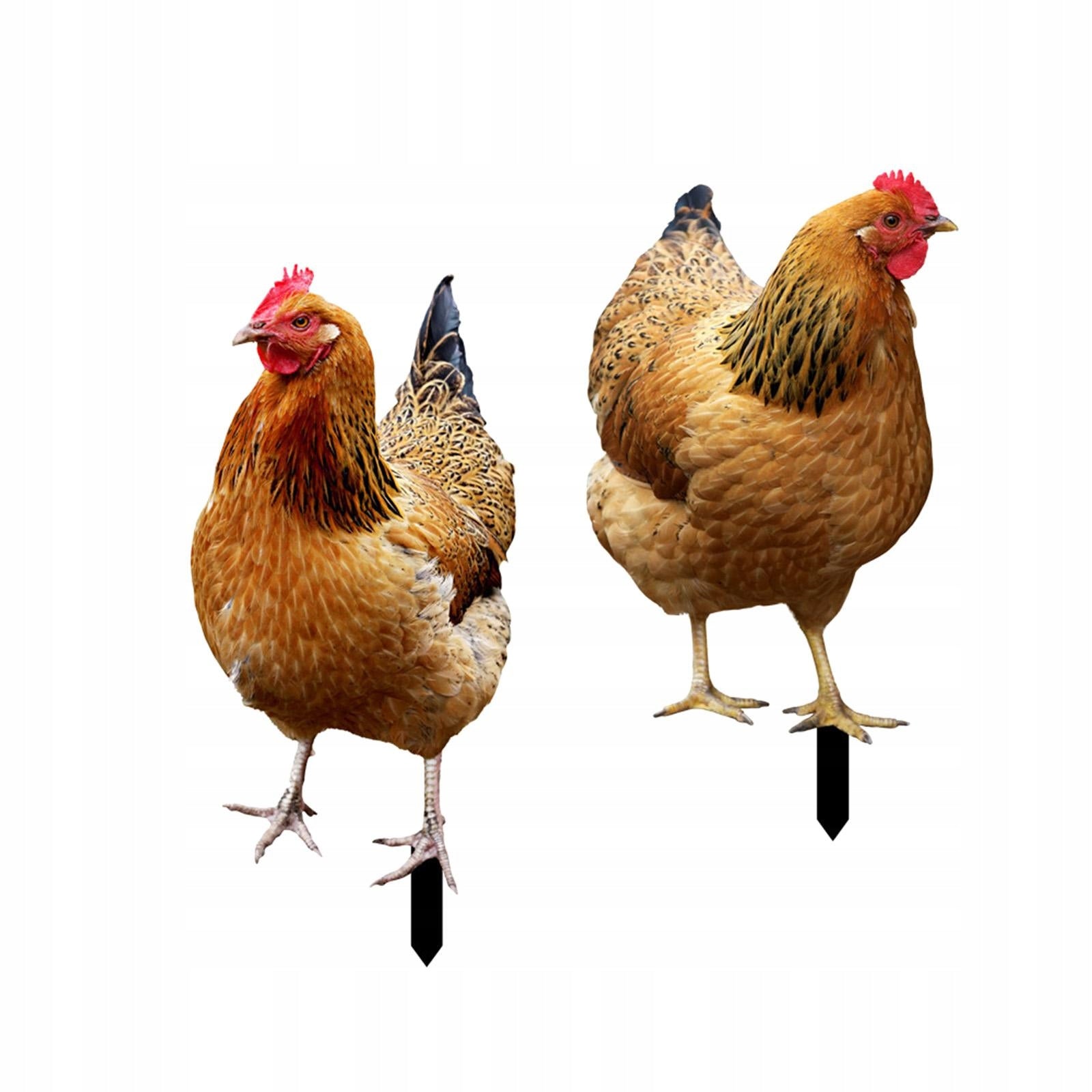 2Pcs Hen Statue Garden Stakes Chicken Figurines Ground Insert for Courtyard Manufacturer no brand