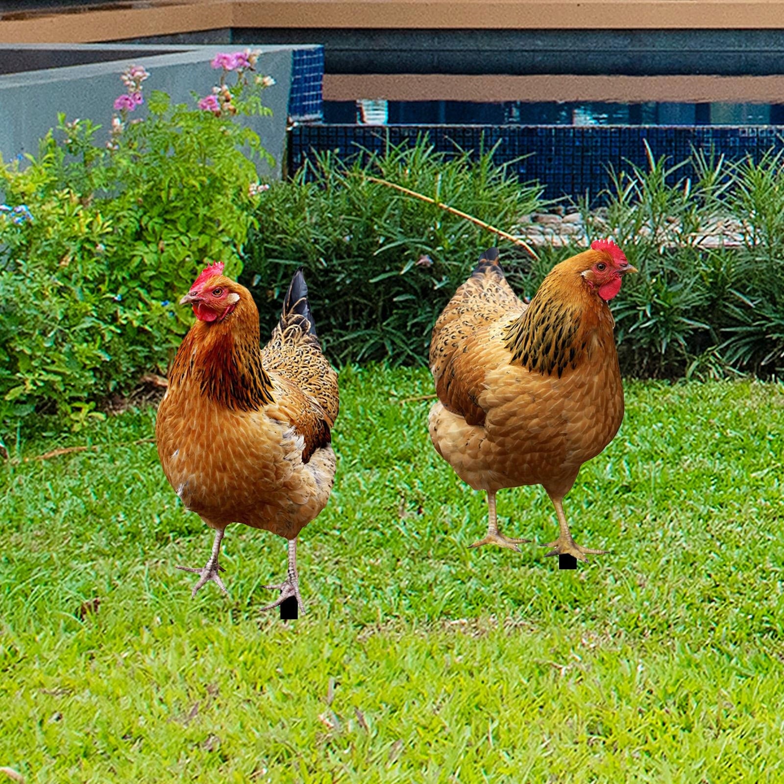 2Pcs Hen Statue Garden Stakes Chicken Figurines Ground Insert for Courtyard Product weight with unit packaging 0.35 kg