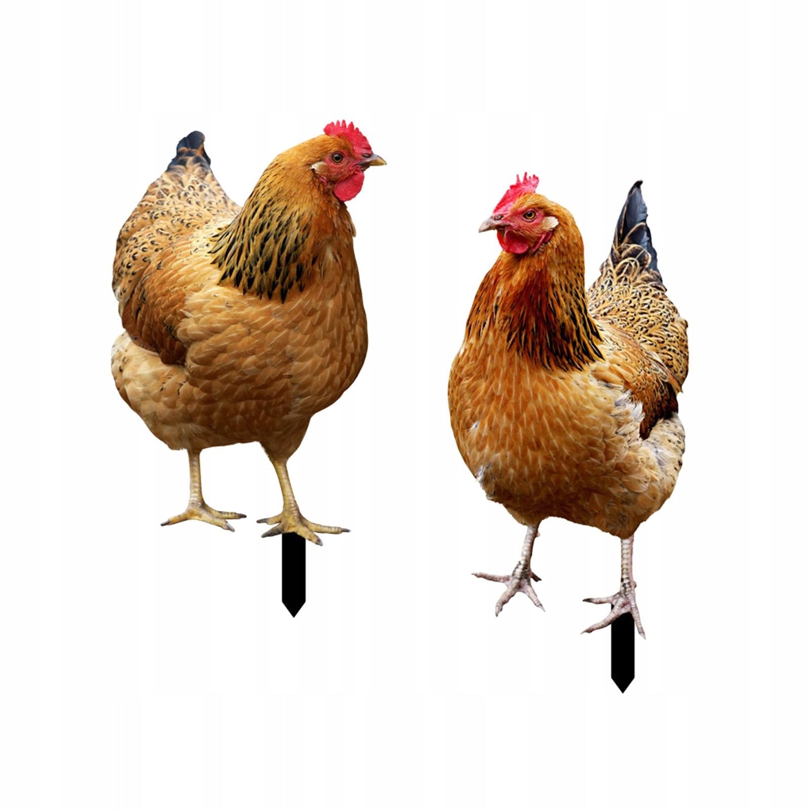 2Pcs Hen Statue Garden Stakes Chicken Figurines Ground Insert for Courtyard Weight 0.35 kg