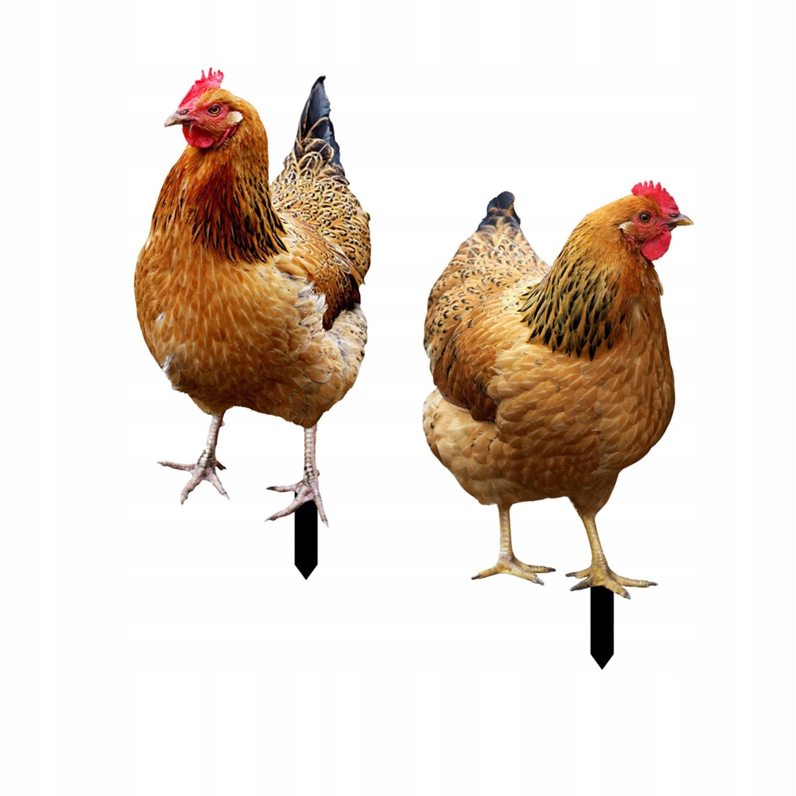 2Pcs Hen Statue Garden Stakes Chicken Figurines Ground Insert for Courtyard