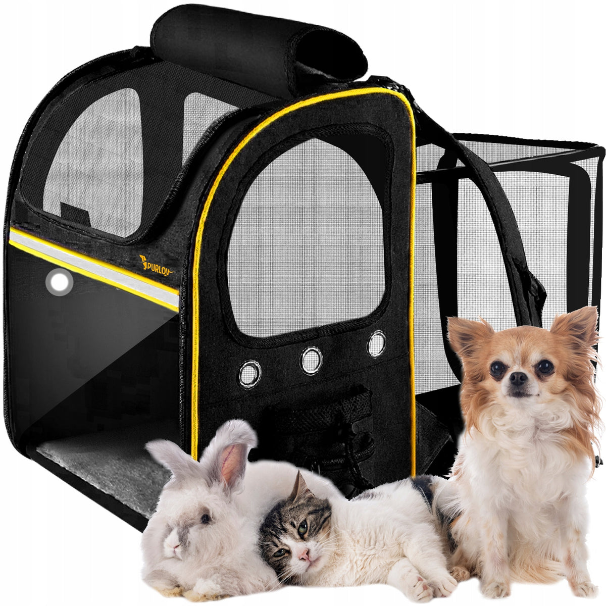 2X Cat Transporter Backpack Transparent Durable with Animal Terrace Brand Purlov