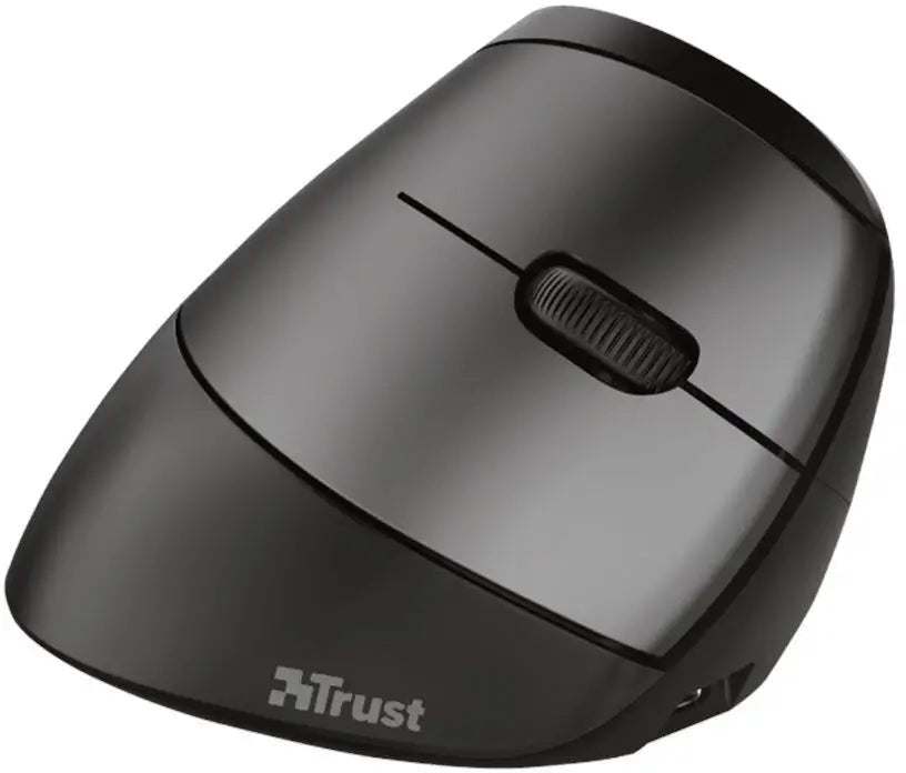 2X Ergonomic Mouse Vertical Rechargeable Battery