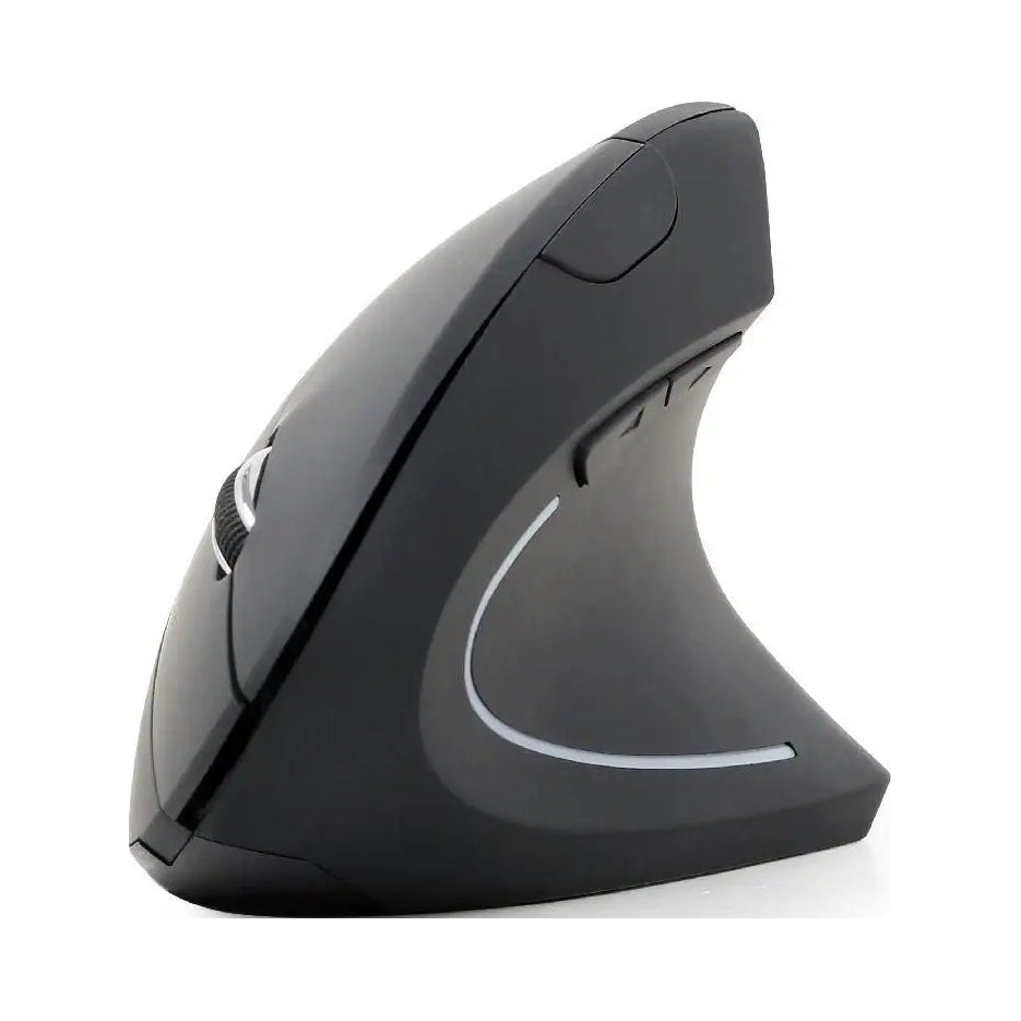 2X Ergonomic Wireless Mouse Gembird Mouse