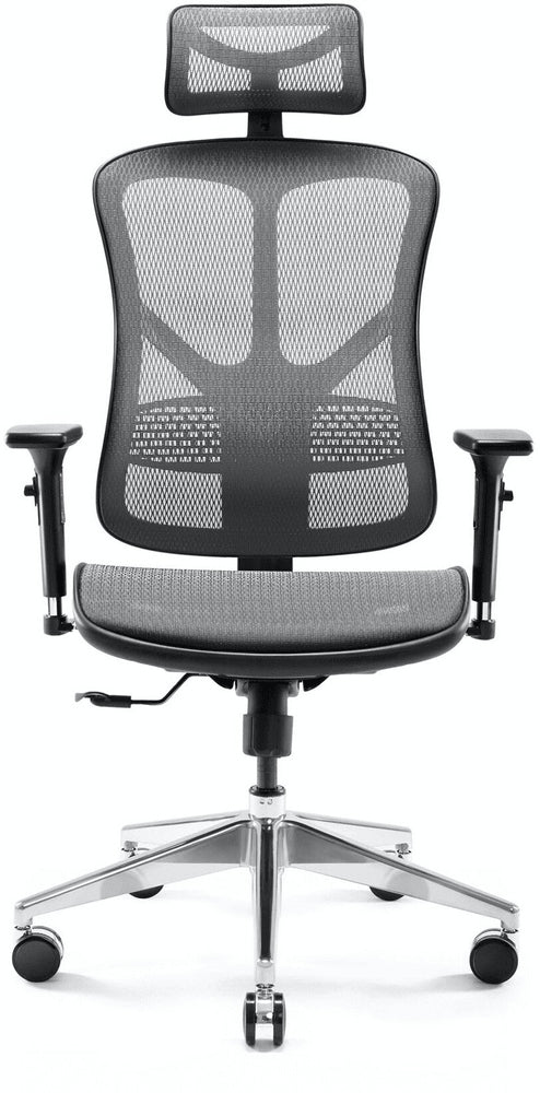 2X Ergonomic chair Diablo Chairs V-Basic Black and grey