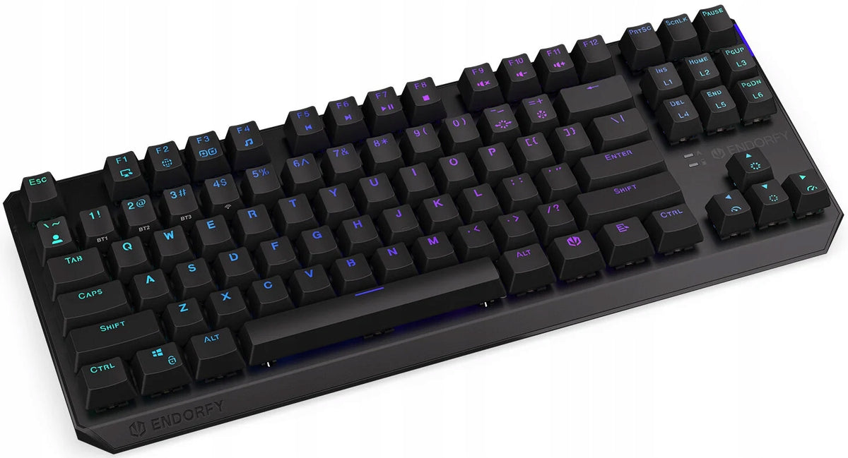 2X KEYBOARD ENDORFY Thock TKL Wireless Black Keyboard layout US international (qwerty)