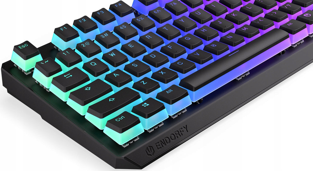 2X Keyboard ENDORFY Thock TKL Wireless Red Pudding Keyboard layout US international (qwerty)