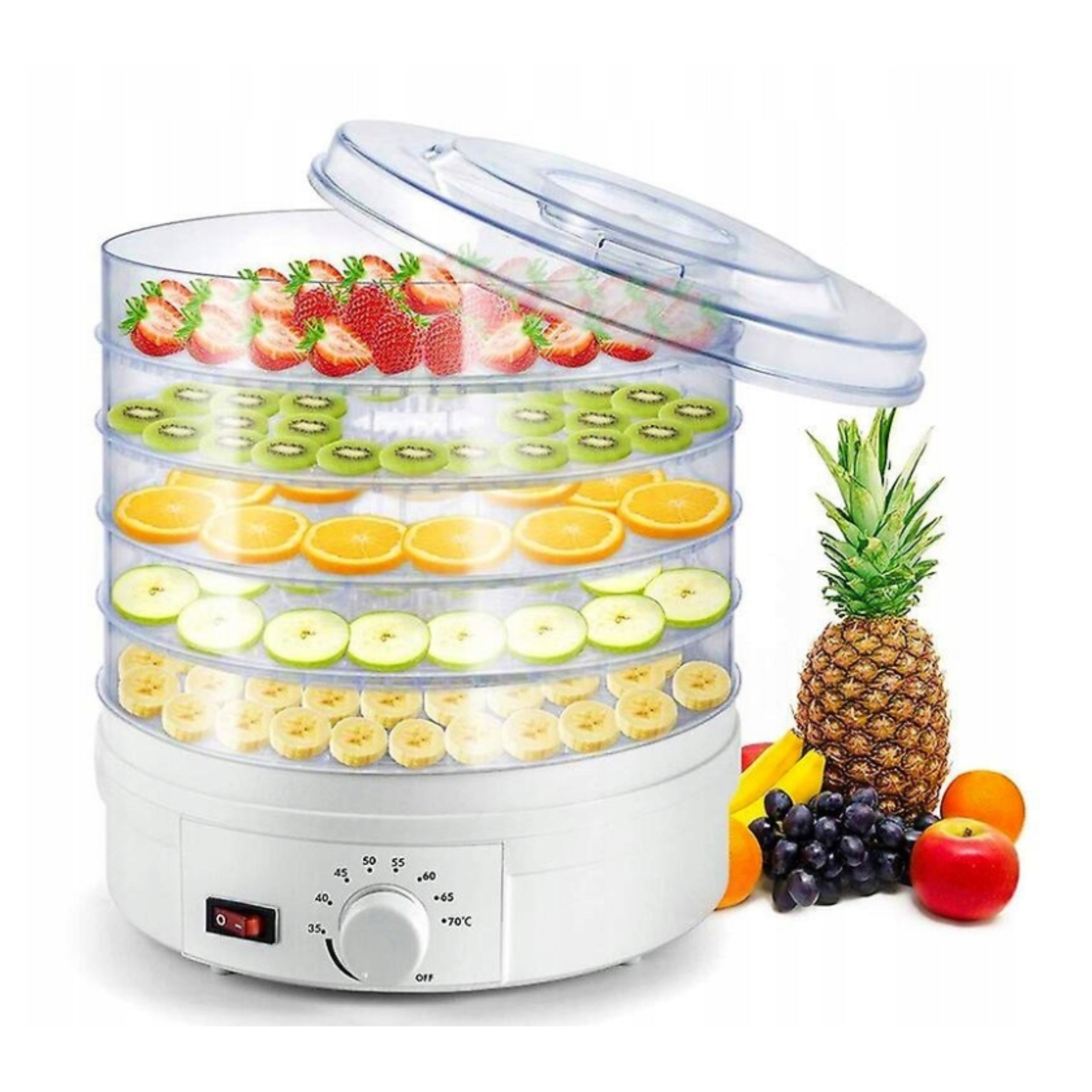 2X LARGE VEGETABLE FRUIT MUSHROOM HERB DRYER POWER 600W 5 TRAYS ADJUSTMENT T