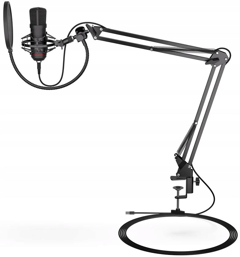 2X Microphone ENDORFY Solum Manufacturer code EY1B001