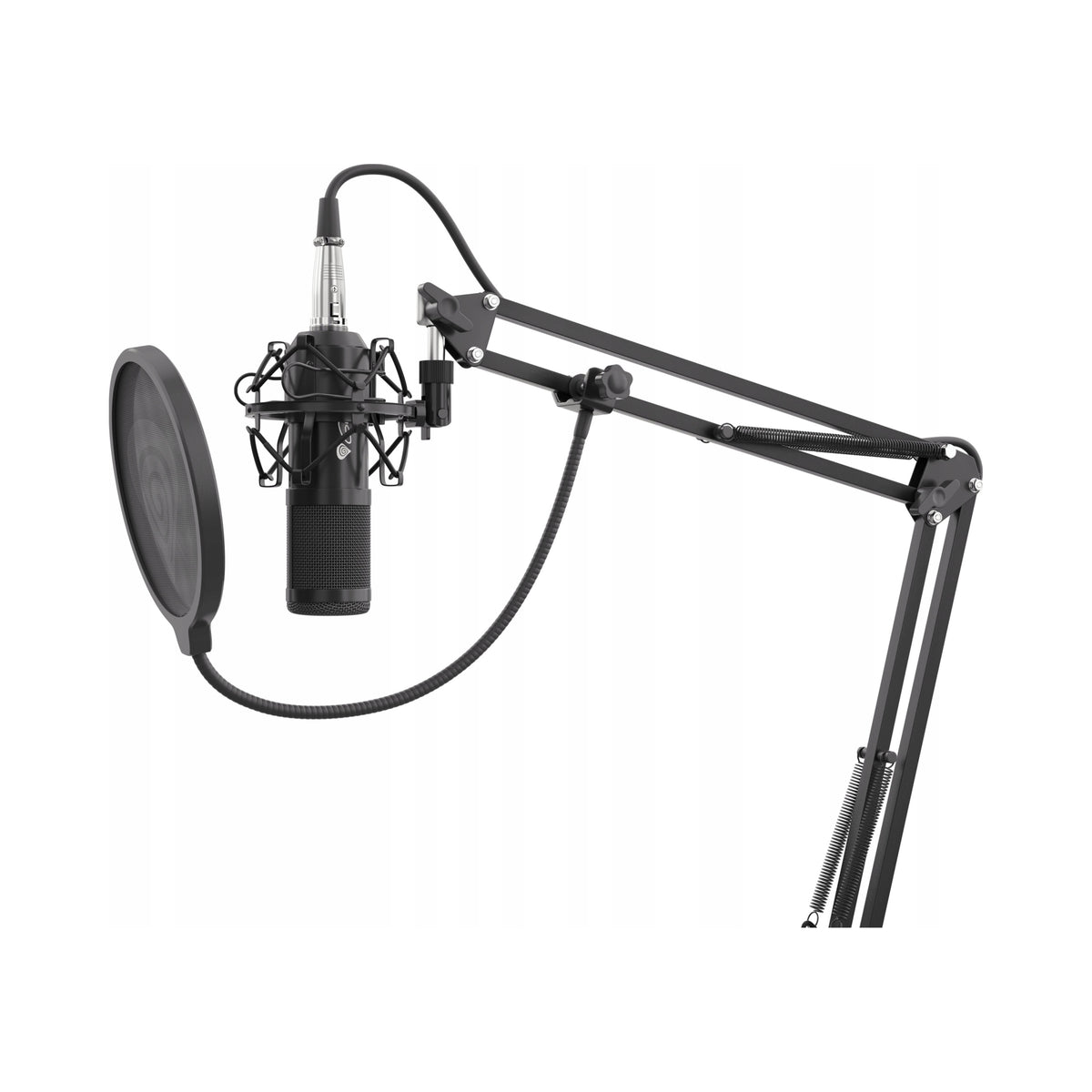 2X Microphone GENESIS Radium 300 XLR