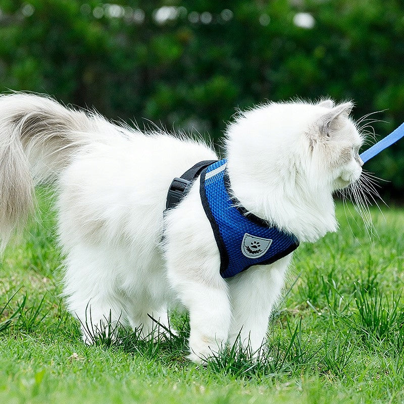 2X PRESSURE-FREE WALKING HARNESS ADJUSTABLE CAT REFLECTOR + LEASH SIZE Manufacturer code SZL.BU.K.xlpurple