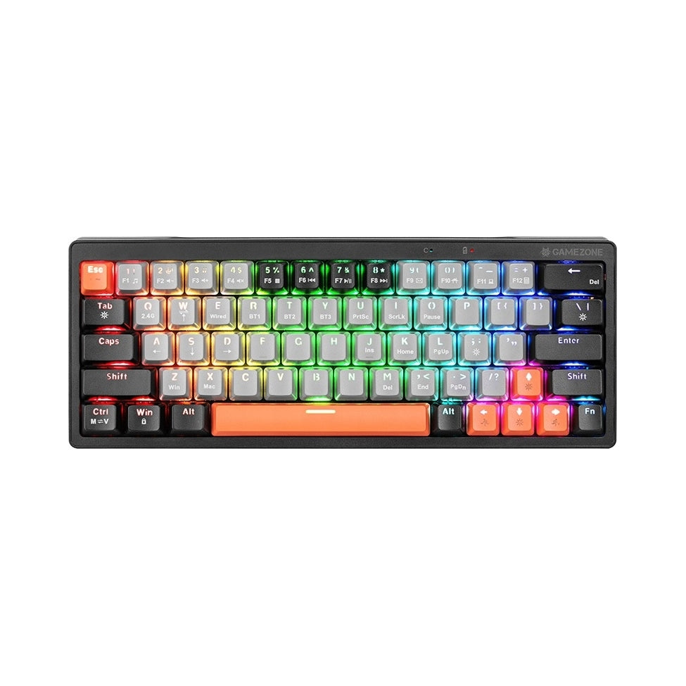 2X USB GAMING WIRELESS KEYBOARD RGB BACKLIT MECHANICAL EVO1