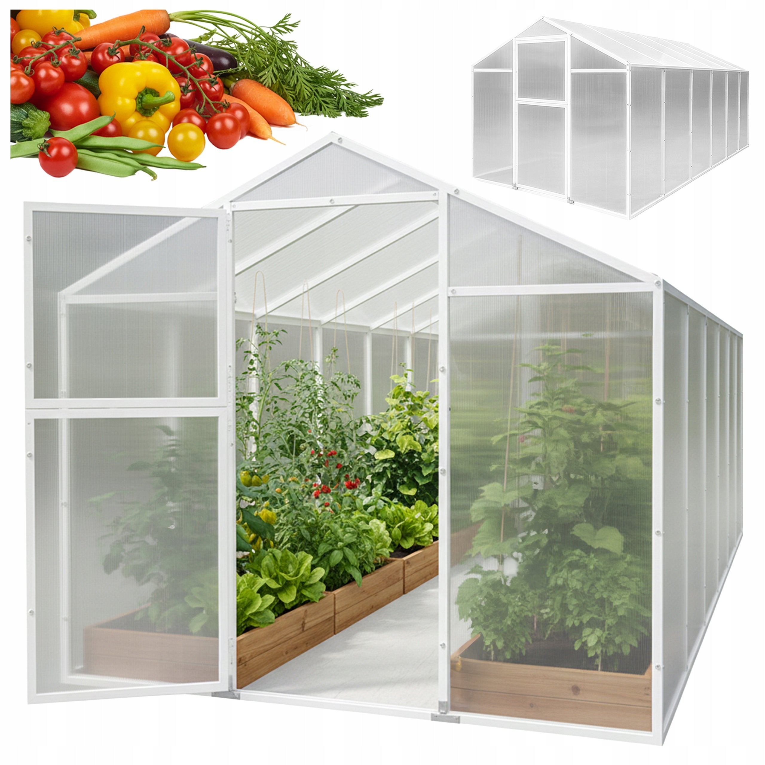 2X4 POLYCARBONATE GREENHOUSE TUNNEL FOR GARDEN POLYCARBONATE STEEL CONSTRUCTION