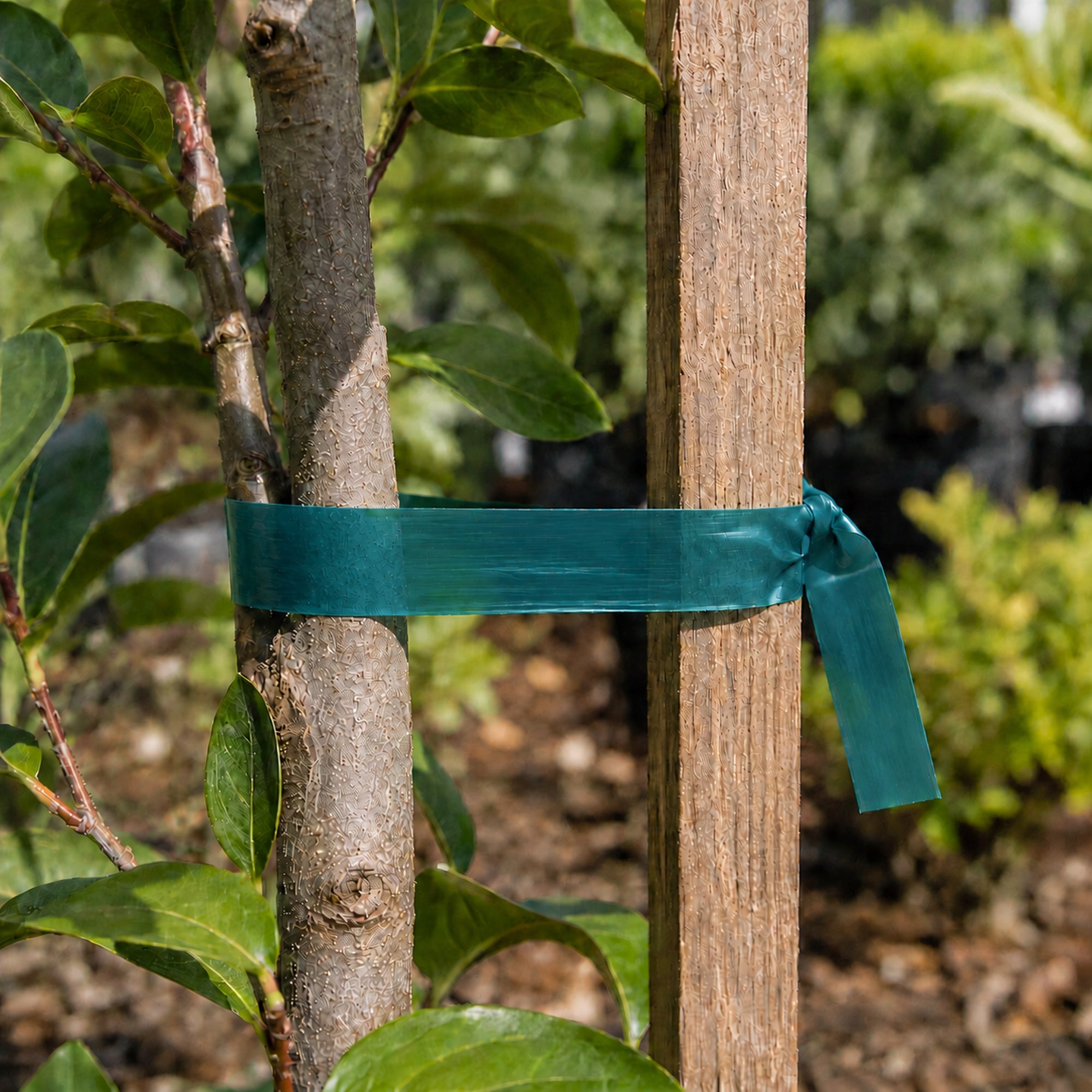 2pcs TAPE 40m 60m FOR TYING PLANTS TREE BUSHES GARDENING STRONG Brand Kadax