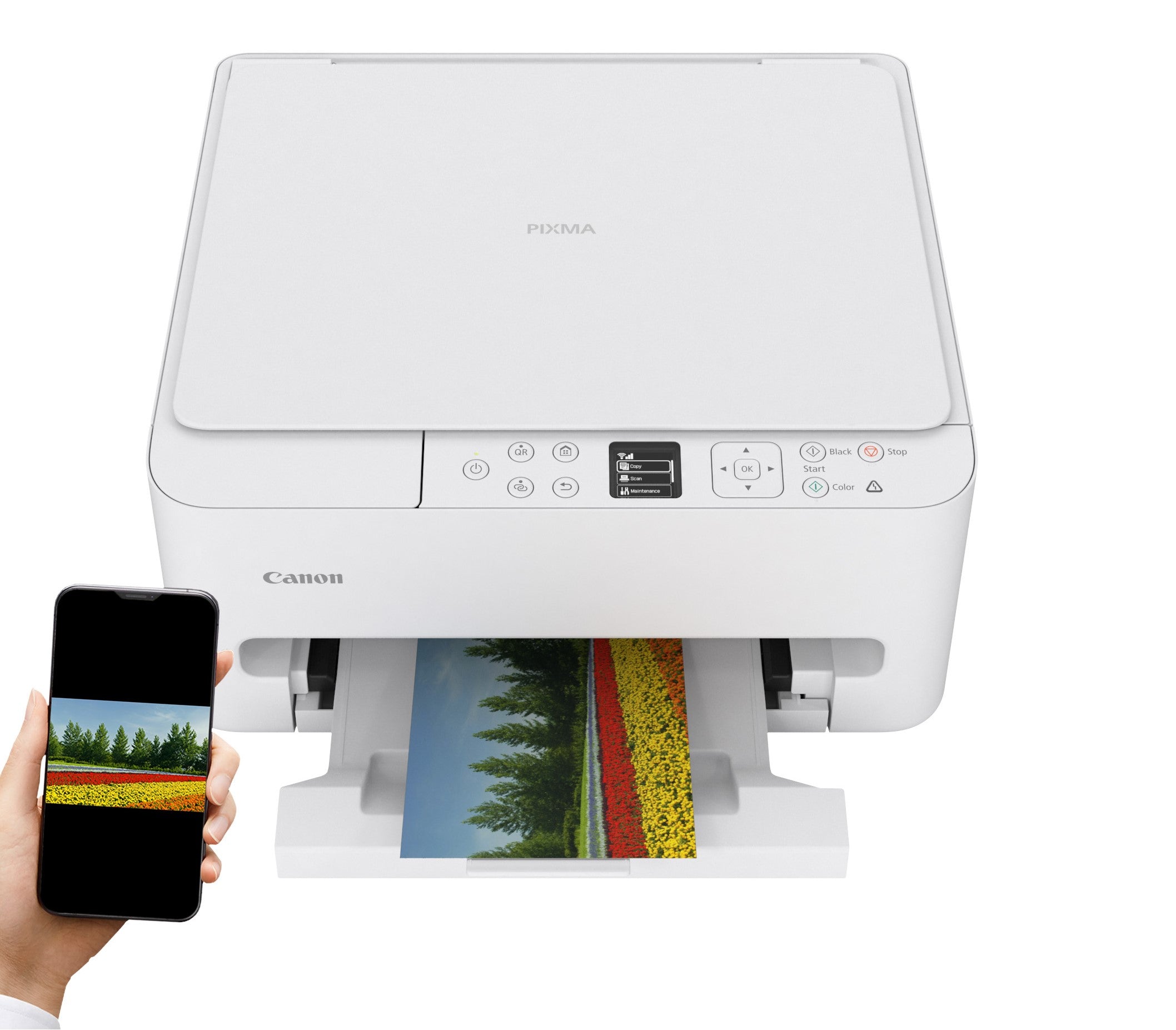 2x All-in-One (Multifunctional) Canon Pixma TS6550i white Model TS6550i PIXMA